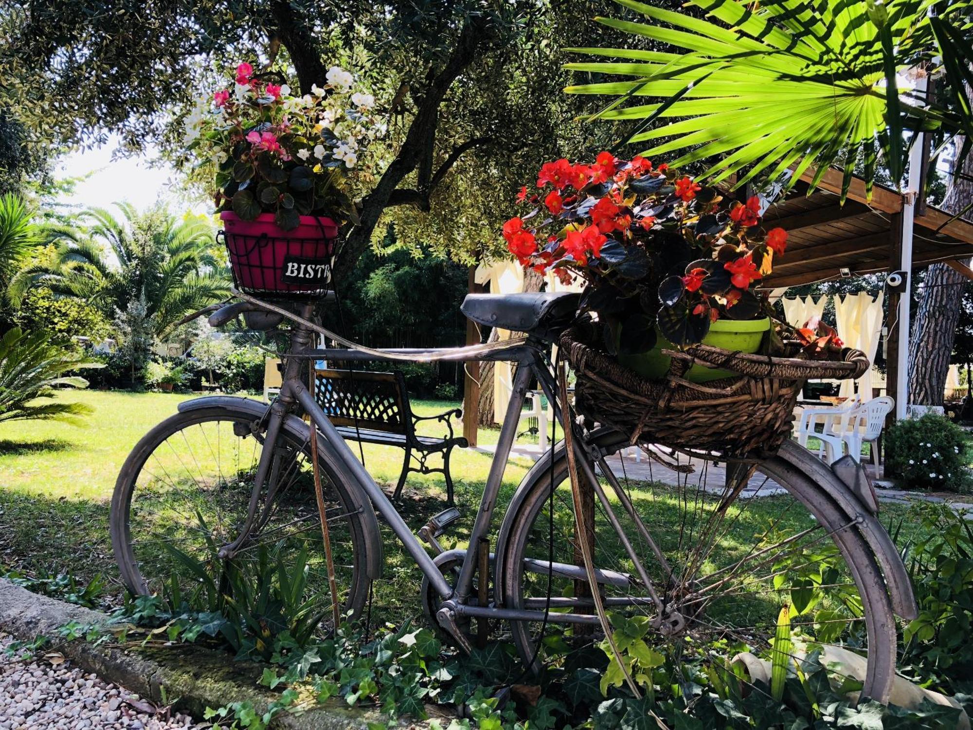 Montesilvano Marina Villa Berghella المظهر الخارجي الصورة